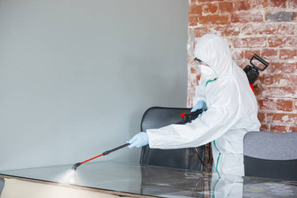 Best Attic Mold Removal  in North Pembroke, MA